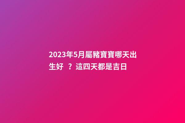 2023年5月屬豬寶寶哪天出生好？這四天都是吉日